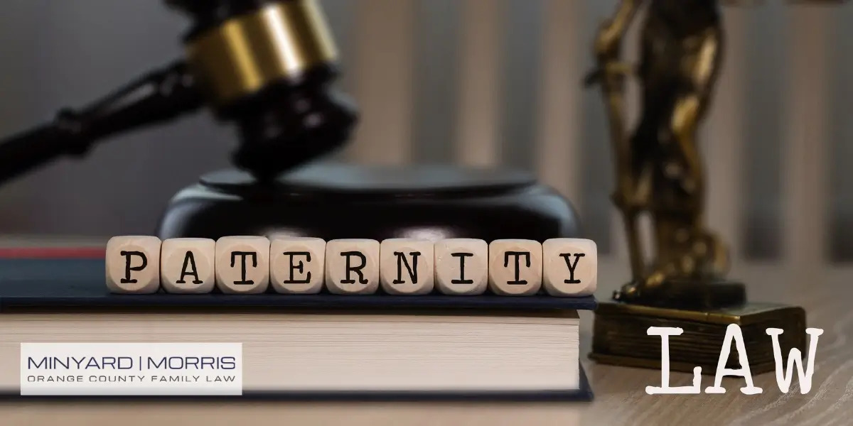 Expert Orange County Paternity Attorney
