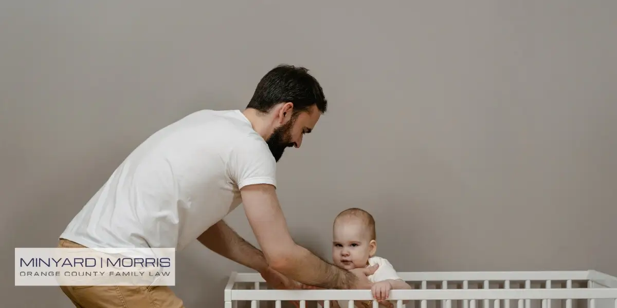 Best Orange County Paternity Lawyer