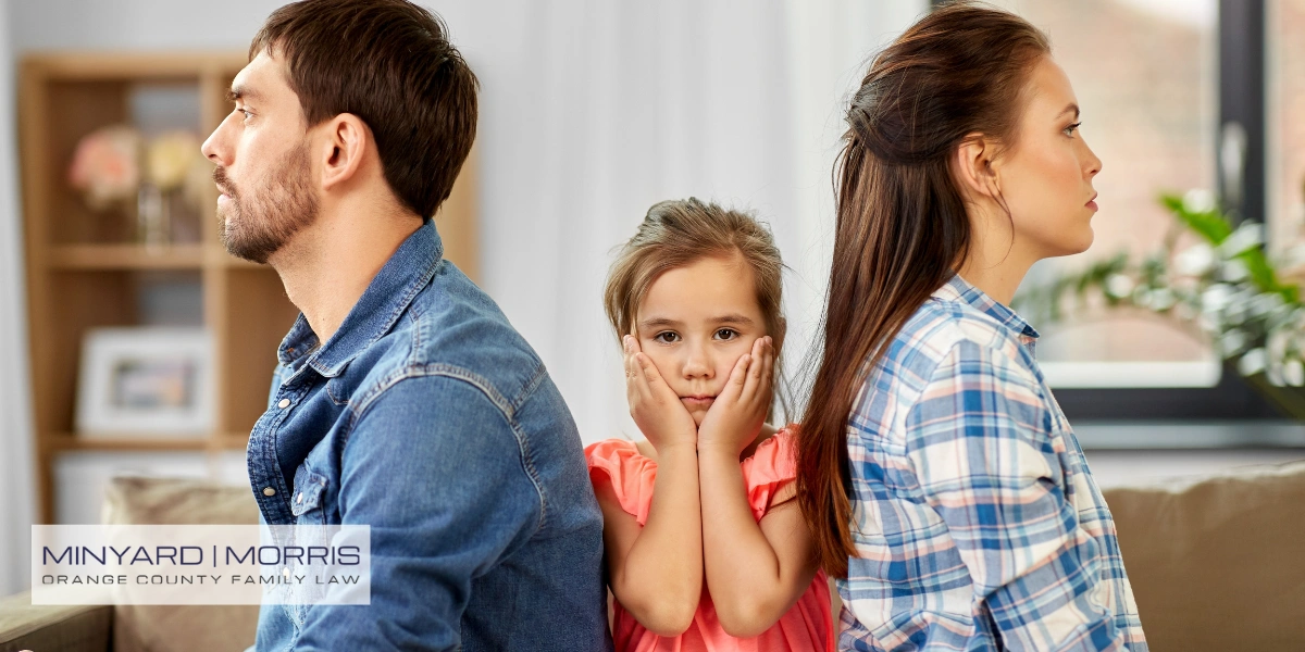 Expert Aliso Viejo Child Custody Attorney Expert Aliso Viejo Child Custody Attorney