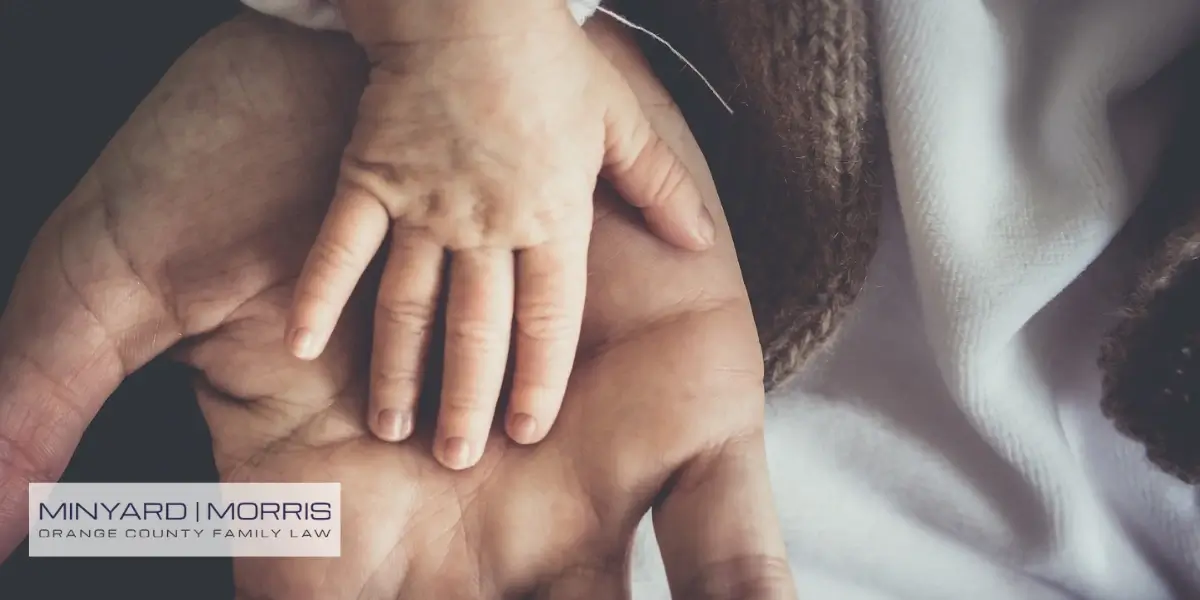 Best Orange County Interstate Child Custody Attorney